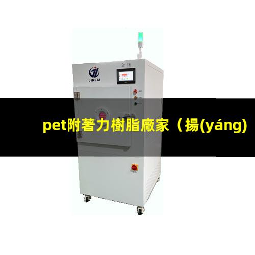 pet附著力樹脂廠家