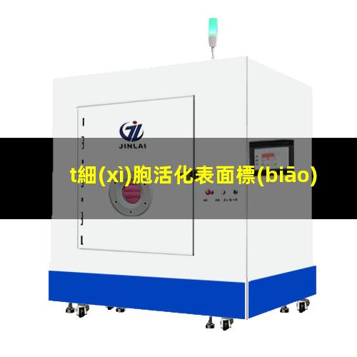 t細(xì)胞活化表面標(biāo)記物（T細(xì)胞活化的表面分子標(biāo)志）