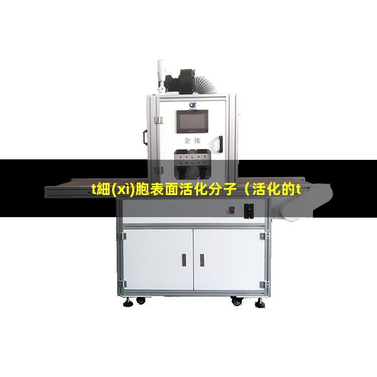 t細(xì)胞表面活化分子