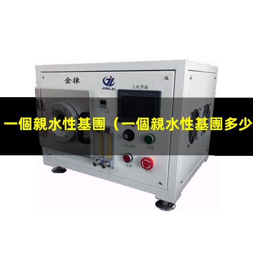 一個親水性基團