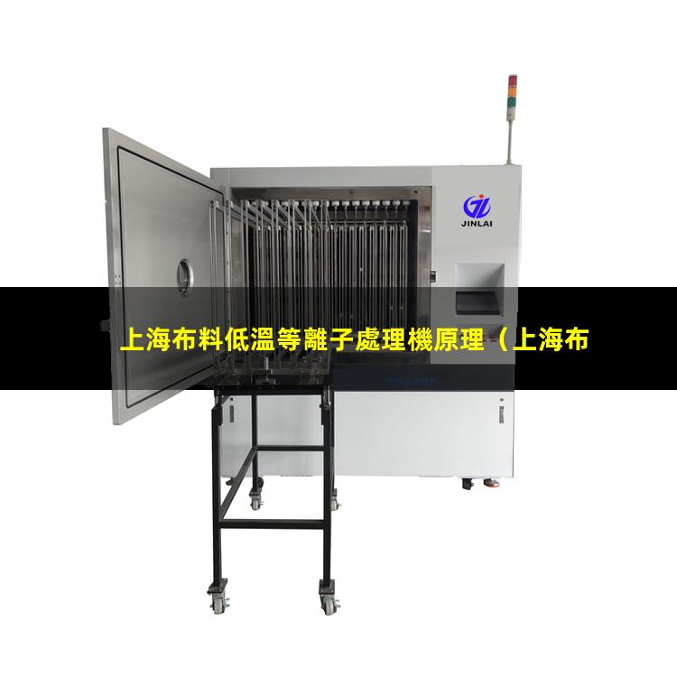 上海布料低溫等離子處理機原理