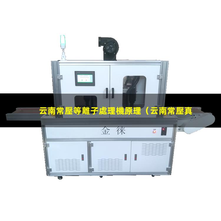 云南常壓等離子處理機原理