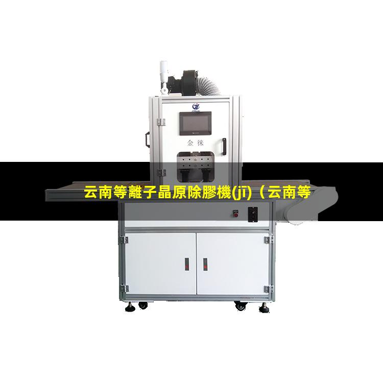 云南等離子晶原除膠機(jī)