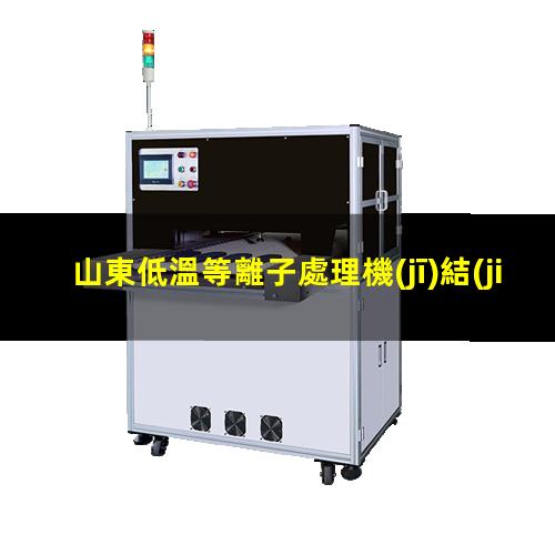 山東低溫等離子處理機(jī)結(jié)構(gòu)