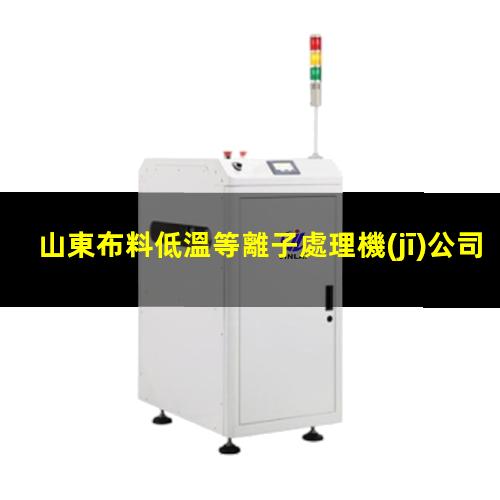 山東布料低溫等離子處理機(jī)公司