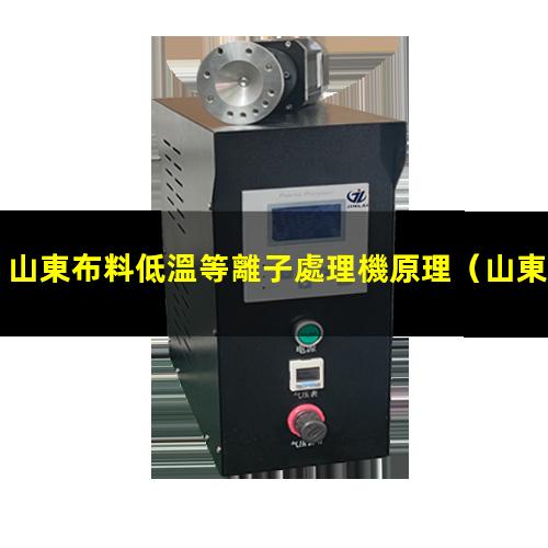 山東布料低溫等離子處理機原理