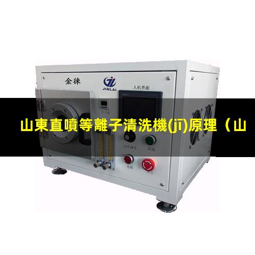 山東直噴等離子清洗機(jī)原理