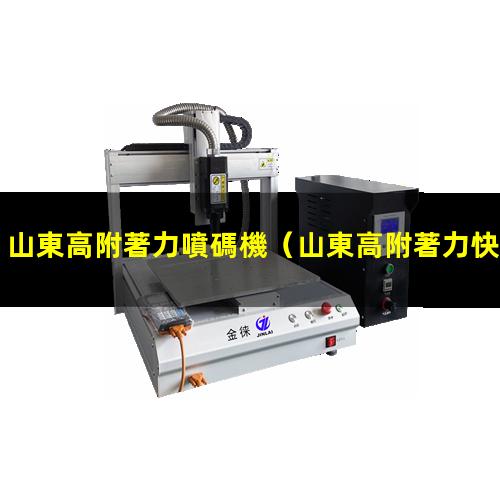 山東高附著力噴碼機