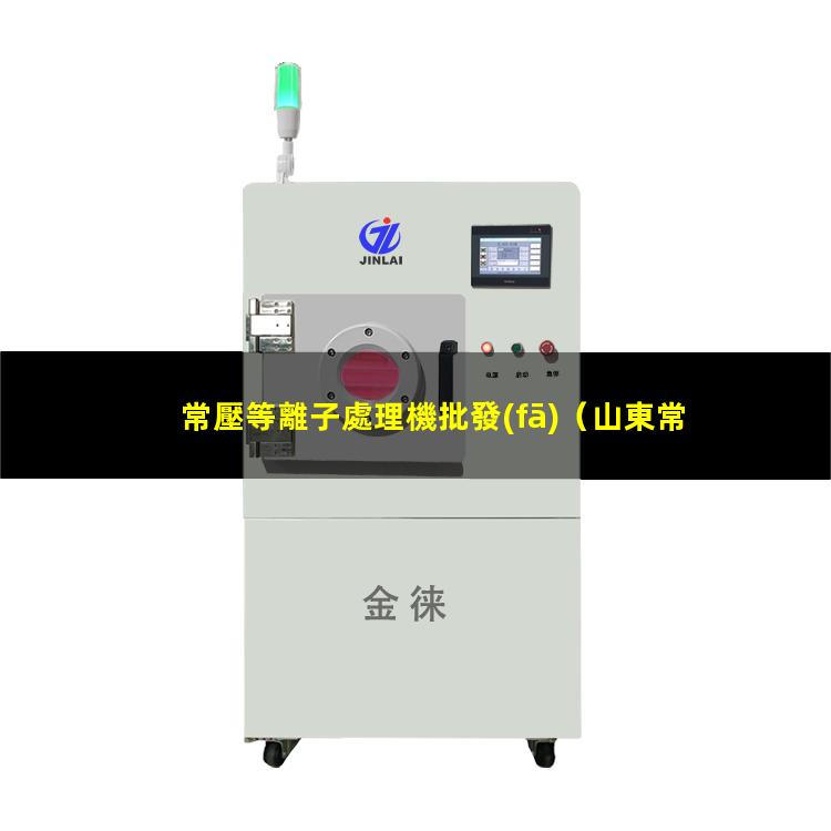 常壓等離子處理機批發(fā)