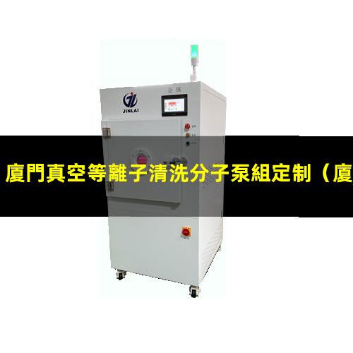 廈門真空等離子清洗分子泵組定制