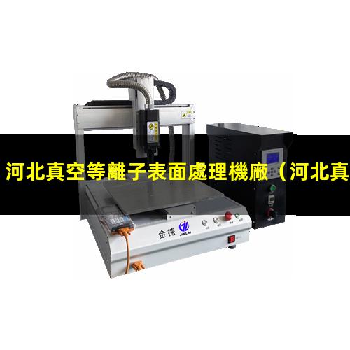 河北真空等離子表面處理機廠