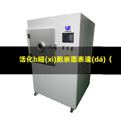 活化b細(xì)胞表面表達(dá)