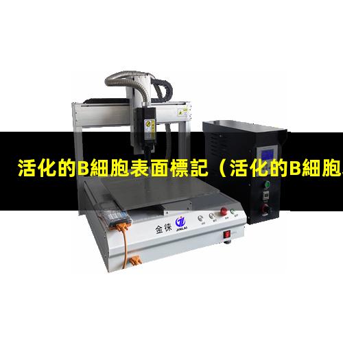 活化的B細胞表面標記