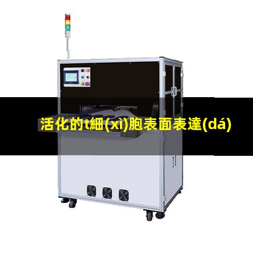 活化的t細(xì)胞表面表達(dá)