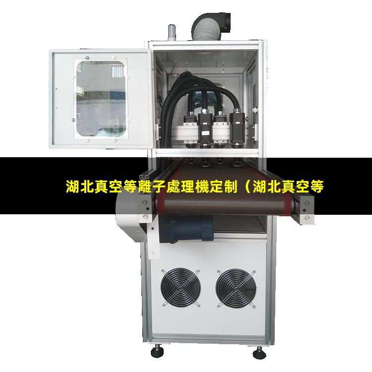 湖北真空等離子處理機定制