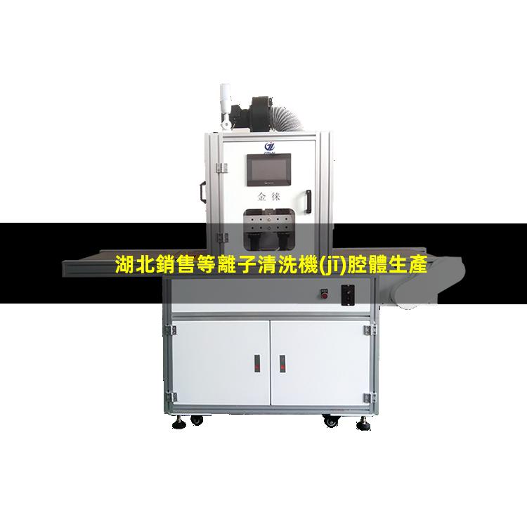 湖北銷售等離子清洗機(jī)腔體生產(chǎn)