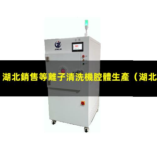 湖北銷售等離子清洗機腔體生產