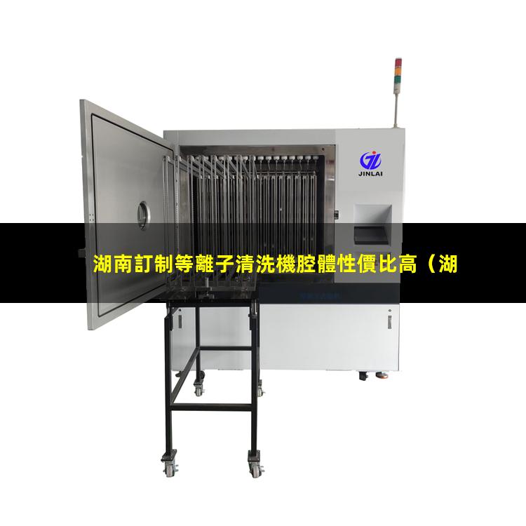 湖南訂制等離子清洗機腔體性價比高