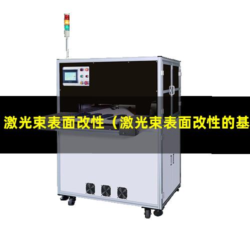 激光束表面改性（激光束表面改性的基本過程）
