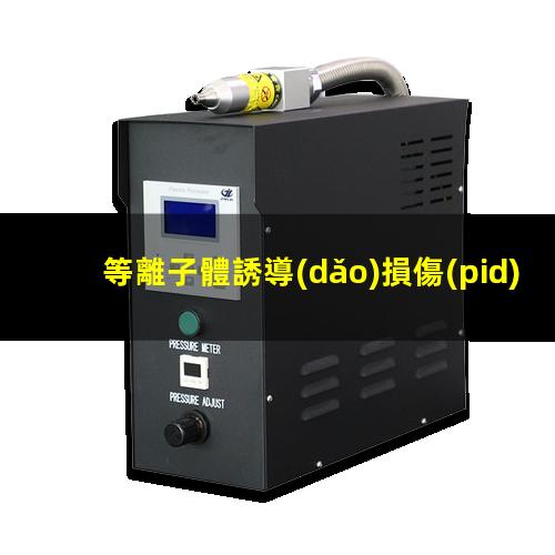 等離子體誘導(dǎo)損傷(pid)