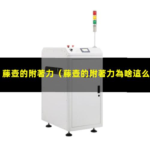 藤壺的附著力