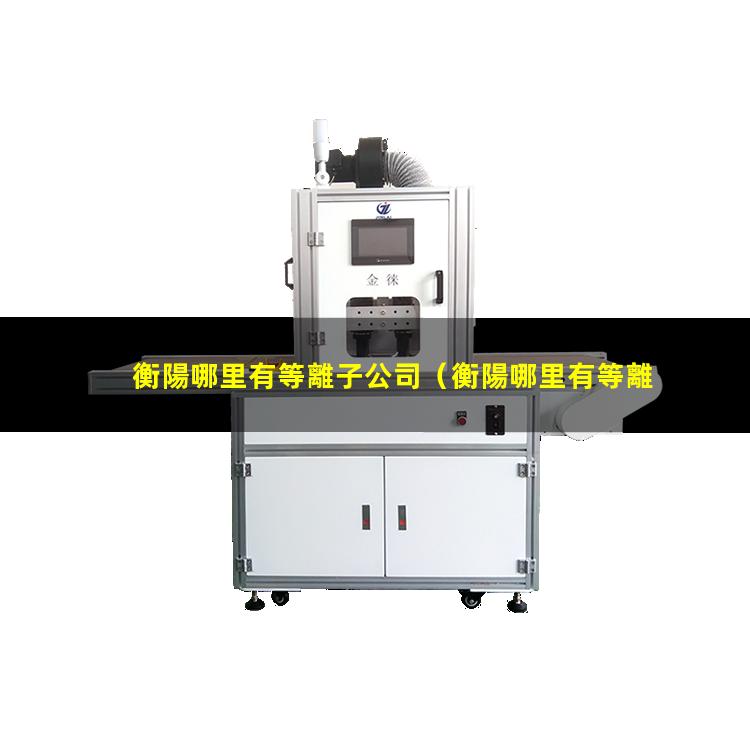 衡陽哪里有等離子公司