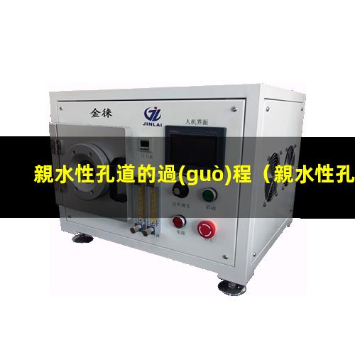 親水性孔道的過(guò)程
