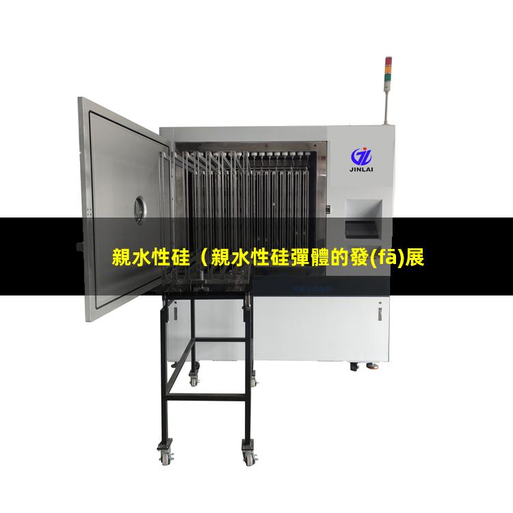 親水性硅