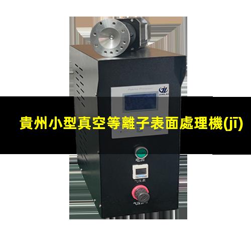 貴州小型真空等離子表面處理機(jī)