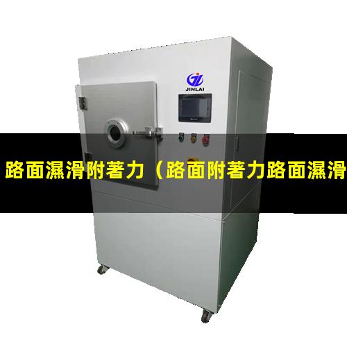 路面濕滑附著力