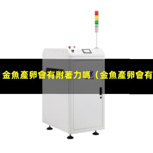 金魚產卵會有附著力嗎