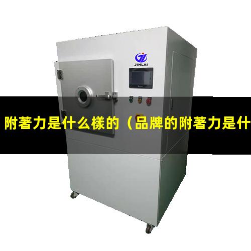 附著力是什么樣的
