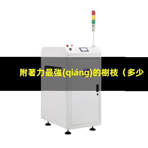 附著力最強(qiáng)的樹枝