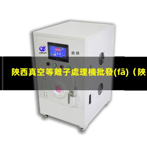 陜西真空等離子處理機批發(fā)