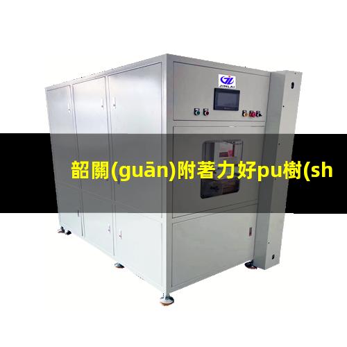 韶關(guān)附著力好pu樹(shù)脂